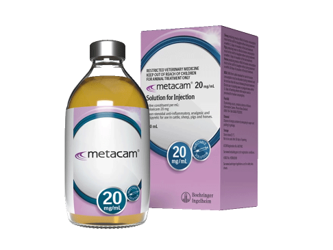 Non-steroidal anti-inflammatory-pain-relief-Metacam-20