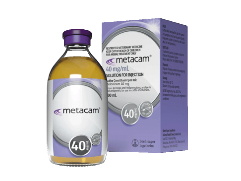 Metacam_40_pain-relief-for-cattle
