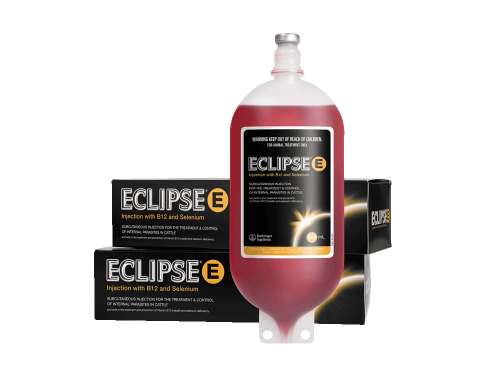 Eclipse-E-B12-Selenium-injection-for-the-control-and-treatment-of-parasites-in-cattle