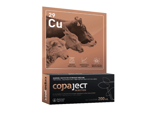 Copaject Injection provides adequate beneficial copper levels for months