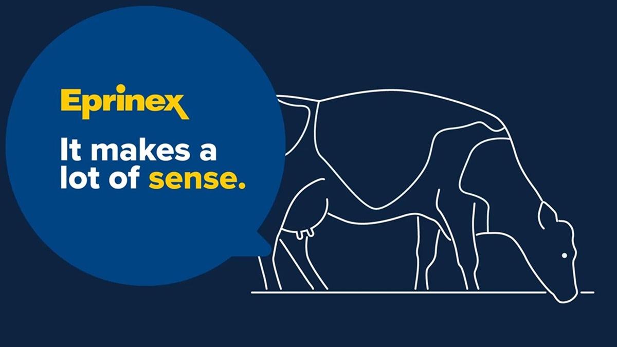 EPRINEX-makes-a-lot-of-sense-video