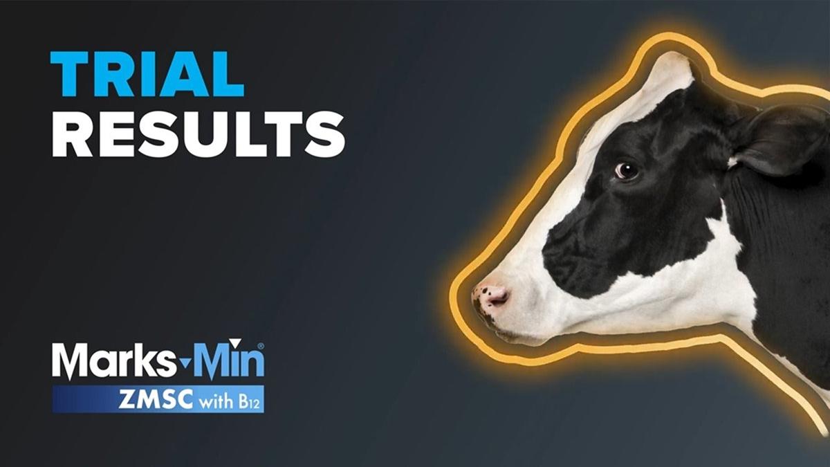 Watch-the-Expert-Insight-Trace-Minerals-for-Optimum-Fertility 