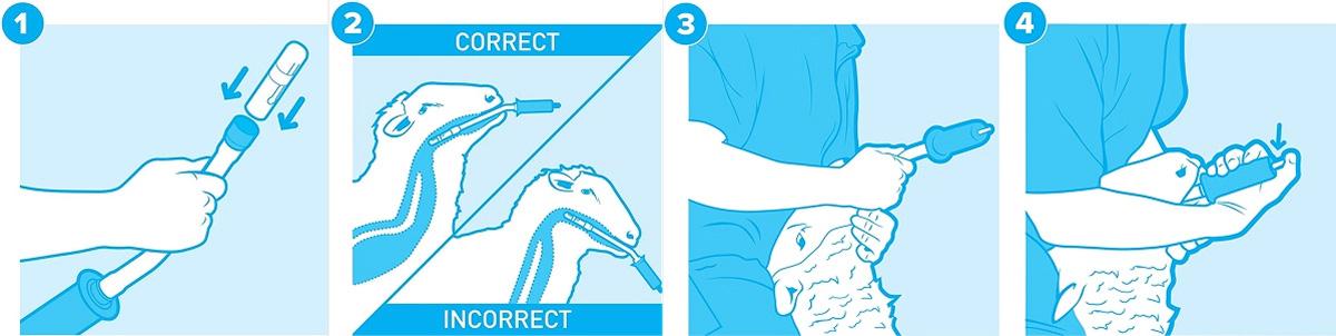 Bionic How to Apply Step by Step Guide