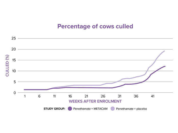Graph-showing-METACAM-reduces-production-losses-from-culling