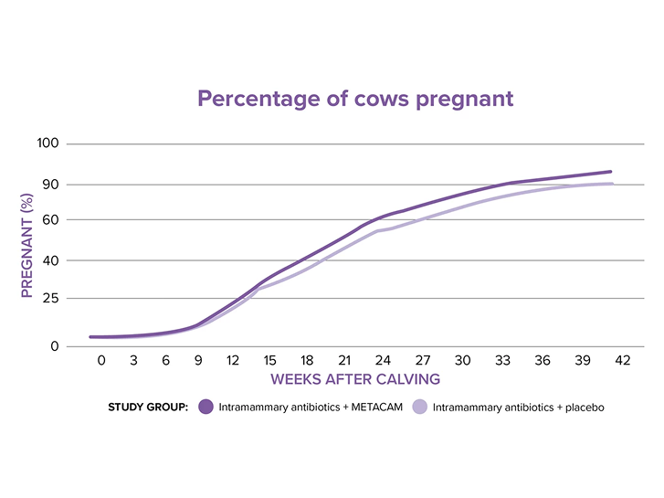 Graph-showing-METACAM-improved-reproductive-outcomes