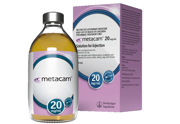 METACAM is the single shot, long-acting pain and inflammation reliever1 – supporting a faster, more comfortable return to the milking herd