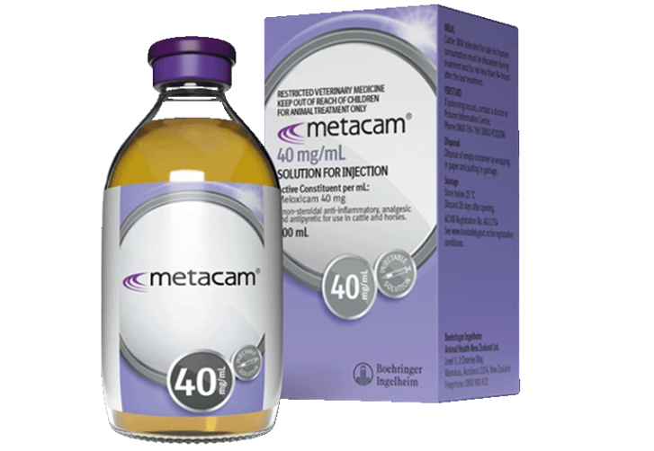 METACAM is the single shot, long-acting pain and inflammation reliever1 – supporting a faster, more comfortable return to the milking herd