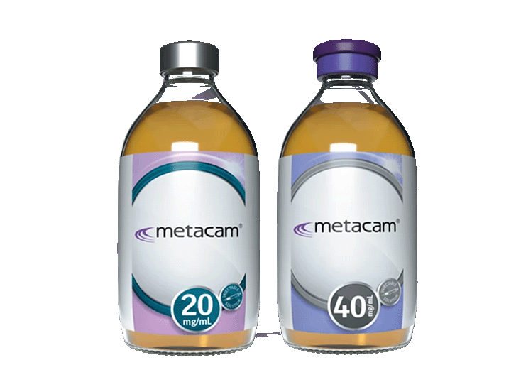 METACAM is the single shot, long-acting pain and inflammation reliever1 – supporting a faster, more comfortable return to the milking herd
