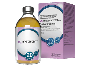 METACAM is the single shot, long-acting pain and inflammation reliever1 – supporting a faster, more comfortable return to the milking herd